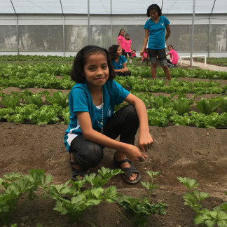 Les enfants mettent beaucoup de cœur dans leurs plantations