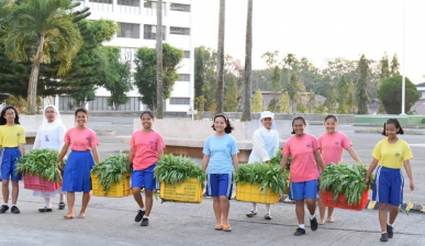 Communiqués marquants