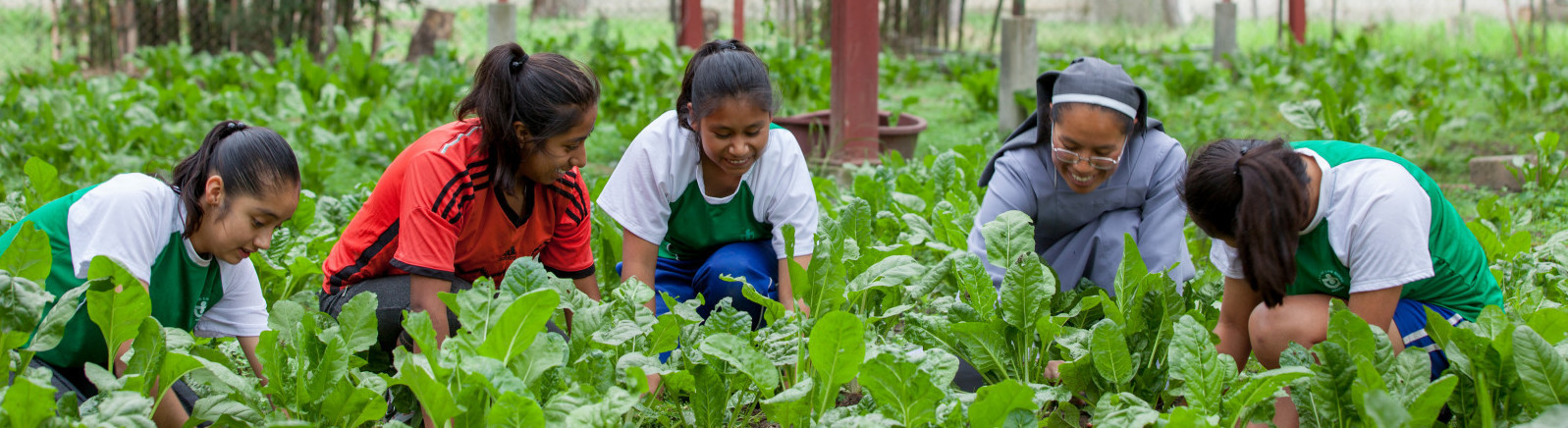 Le potager pédagogique, un véritable outil éducatif 